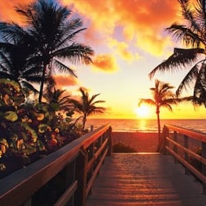 Fort Lauderdale Car Rental